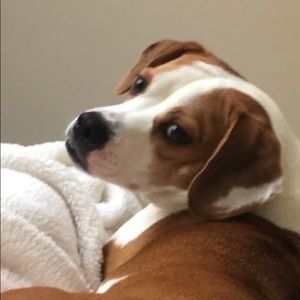 Meet your Posher, Siara